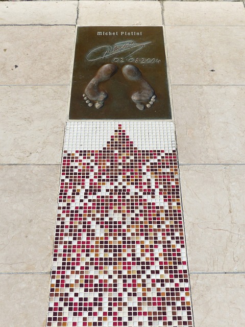 世界強隊的 世界強隊的