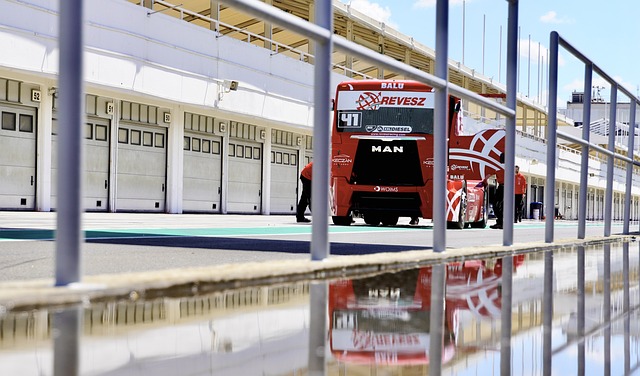 展示出極其 展示出極其