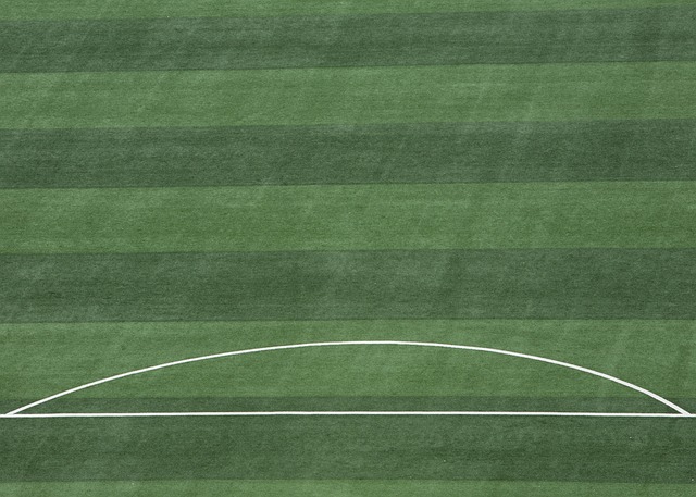 使得球队能 使得球队能