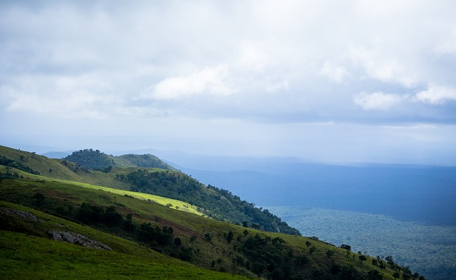 同时也不乏 同时也不乏