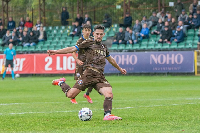 有着丰富的 有着丰富的