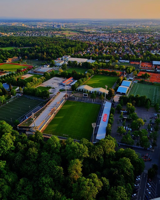 球队提供了 球队提供了