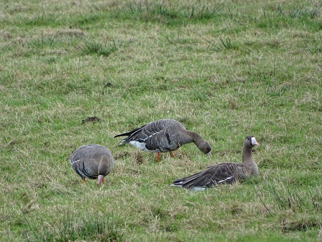 相信随着试 相信随着试