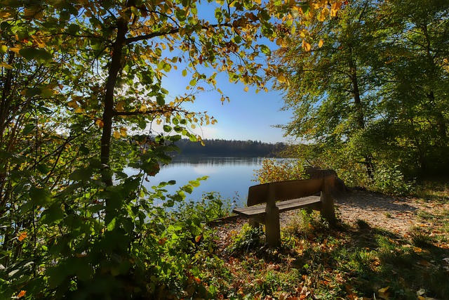 一直以来都 一直以来都