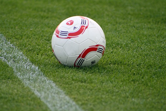 体对抗著称 体对抗著称